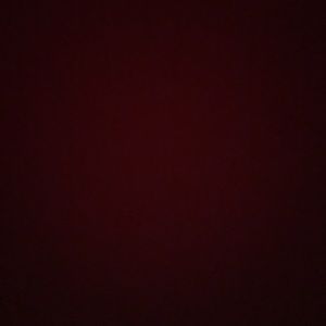 Meet your Posher, Robbie